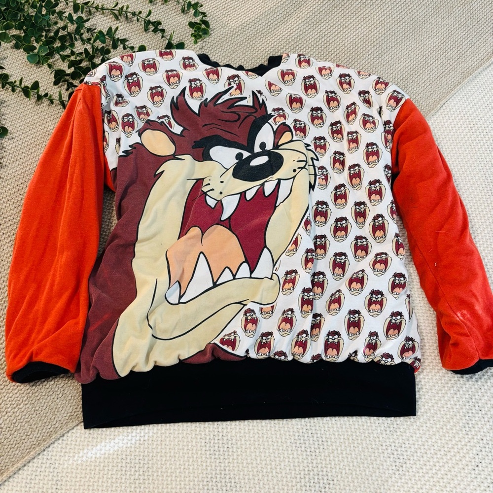 Warner Bros. Red, White, Green and Black Sweatshirt